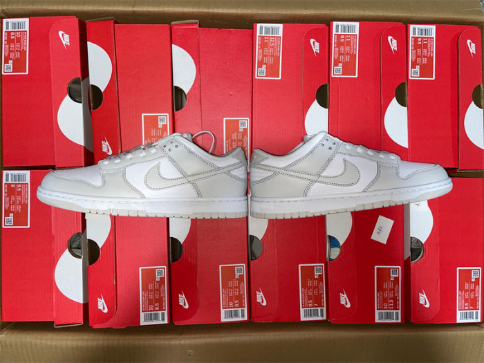 nike dunk low photon dust dunk sb dd1503-103