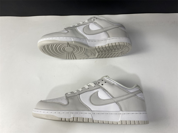 nike dunk low photon dust dunk sb dd1503-103