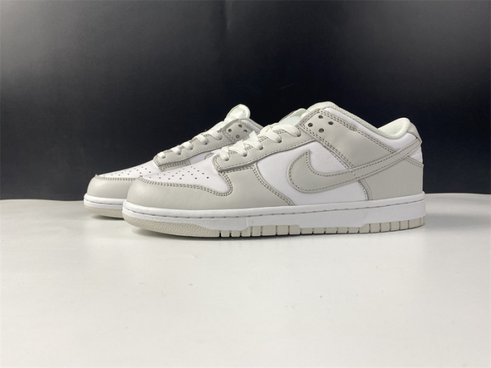 nike dunk low photon dust dunk sb dd1503-103