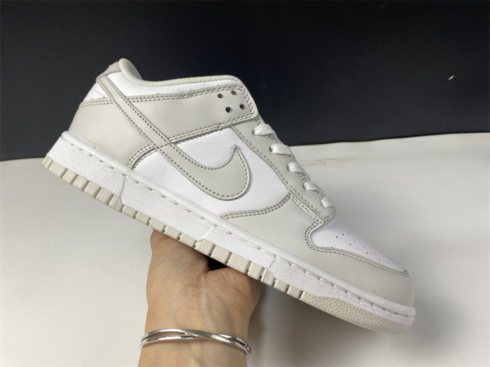 nike dunk low photon dust dunk sb dd1503-103