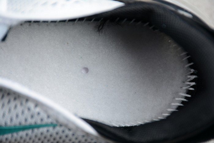 NIKE mens Air Max 270 “DUSTY CACTUS” Black/Dusty Cactus-White AH8050-001