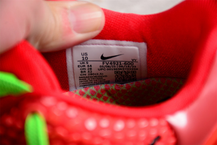 nike kobe 6 protro reverse grinch