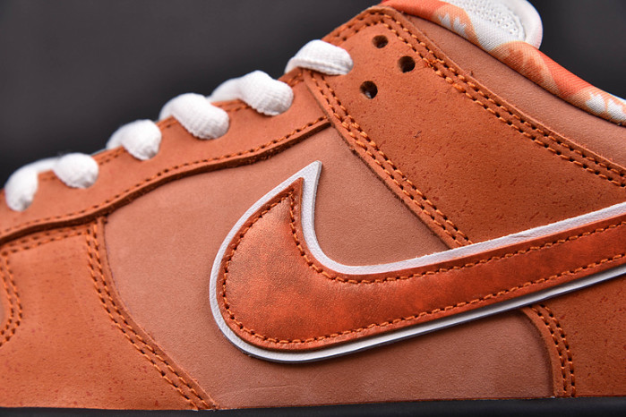 concepts x nike sb dunk low “orange lobster” fd8776-800