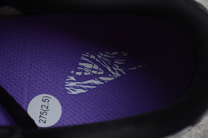 dunk low world champ dr9511-100