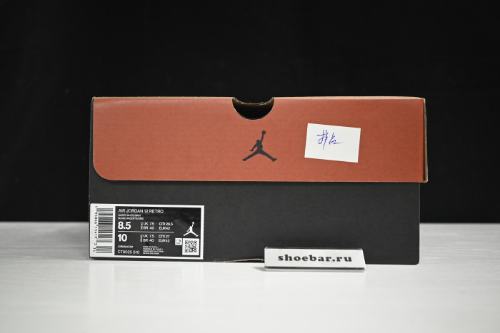 jordan 12 stealth white cool grey ct8025-610
