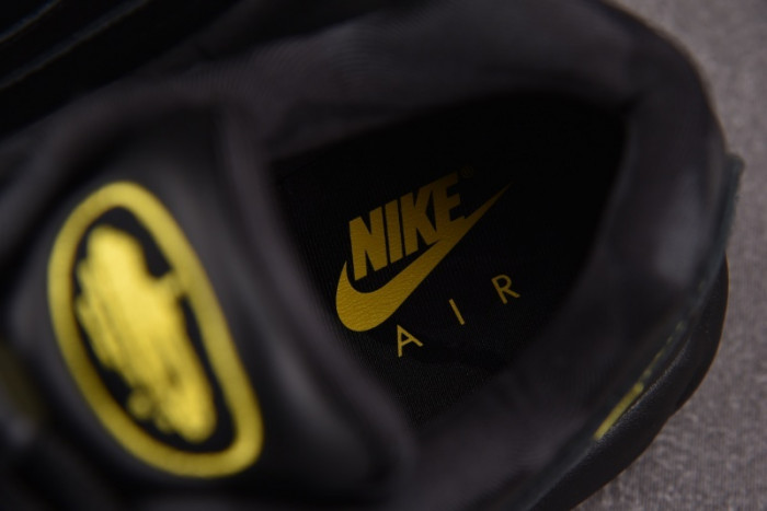 Nike Air Max 95 Corteiz Honey Black FB2709-003