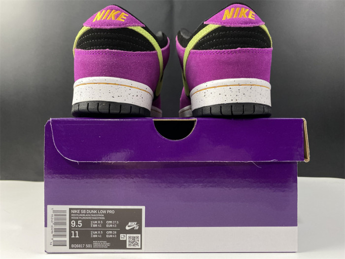 dunk sb low sp bq6817-501