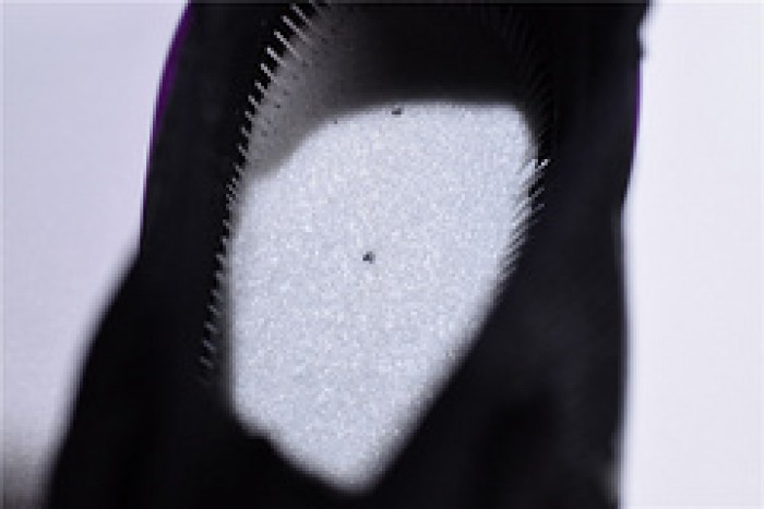 Nike womens Air Max 270 black purple AH6789 016